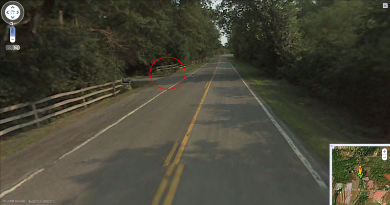 Illustration for article titled Google Deletes Photos Of Google Maps Car Hitting Non-Google Deer